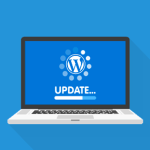 نحوه غیرفعال کردن آپدیت خودکار در وردپرس